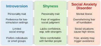 shynesssocialanxiety.com
